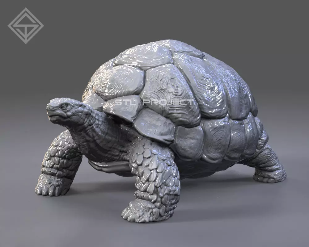Giant Turtle 3D print model_0