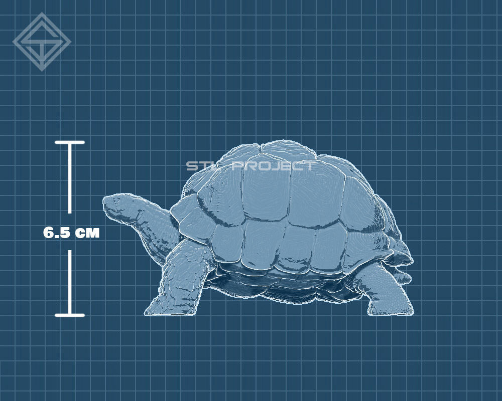 Giant Turtle 3D print model_6