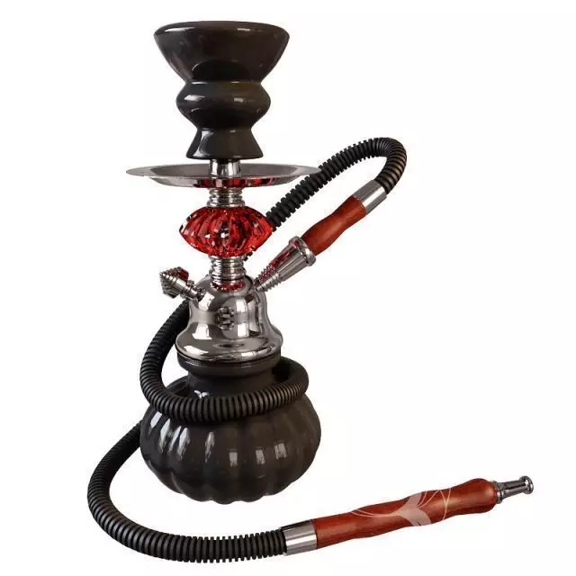 Hookah with hose 3D model_0