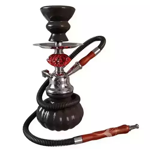 Hookah with hose
