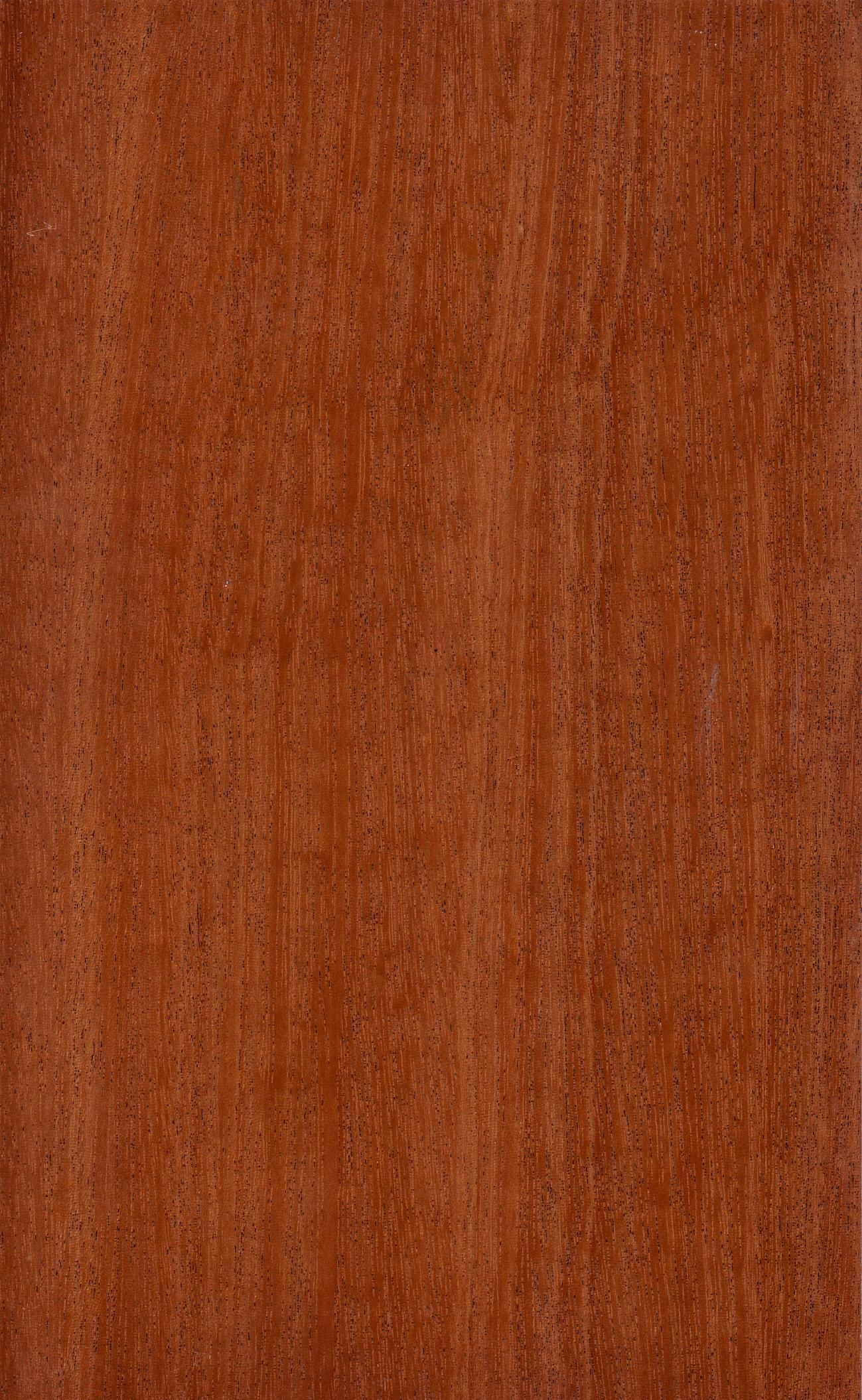 Hookah with hose 3D model_1