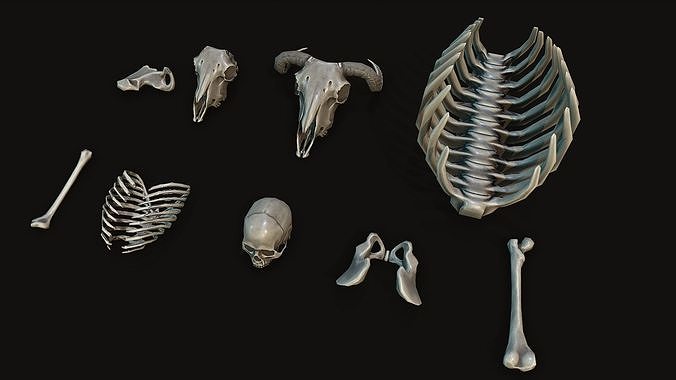 Stylized Bones  Low-poly 3D model