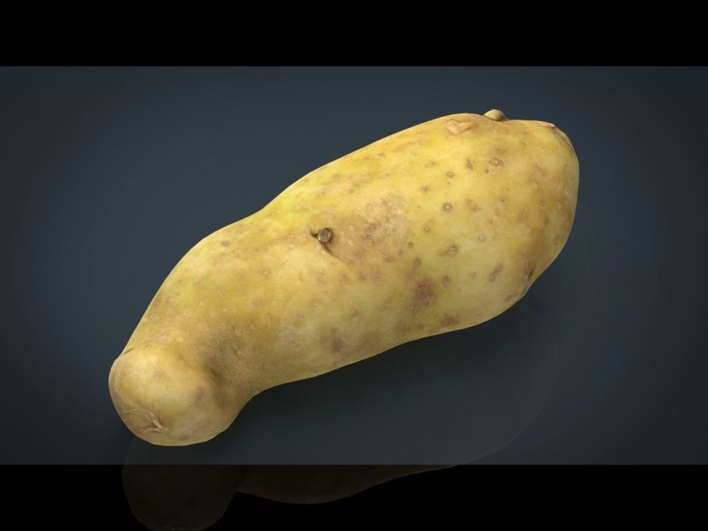 RED POTATOE Low-poly 3D model_14
