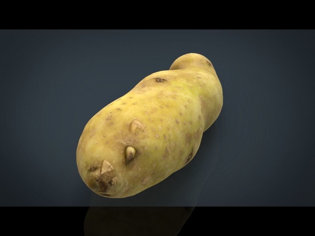 RED POTATOE Low-poly 3D model_18