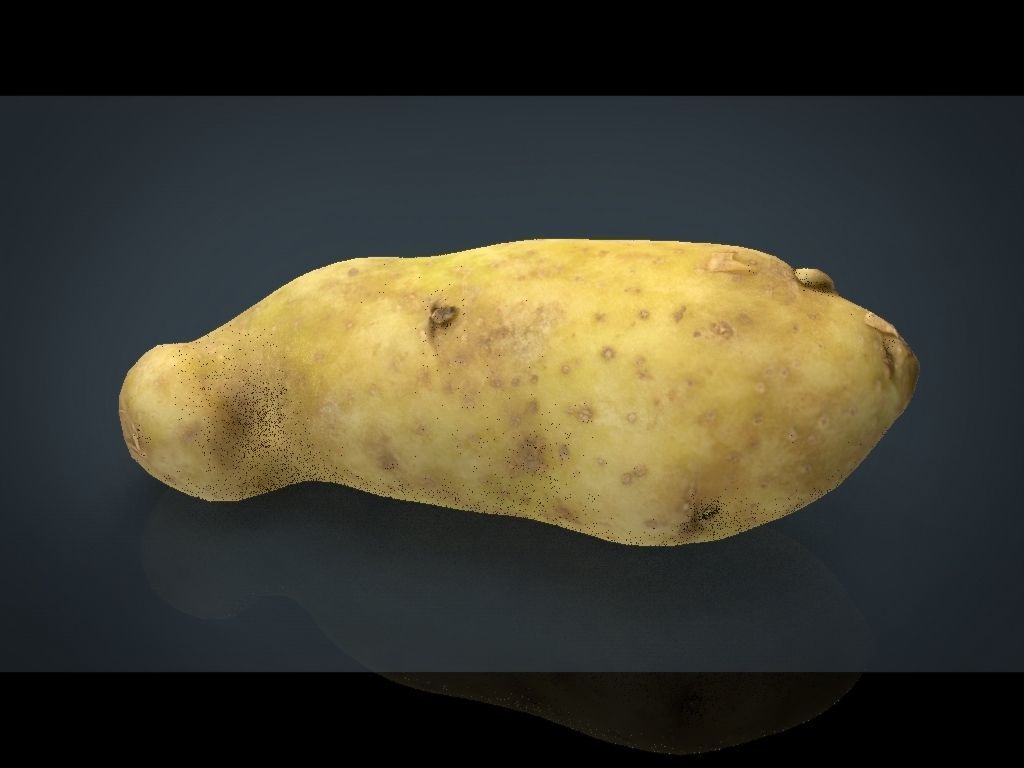 RED POTATOE Low-poly 3D model_13