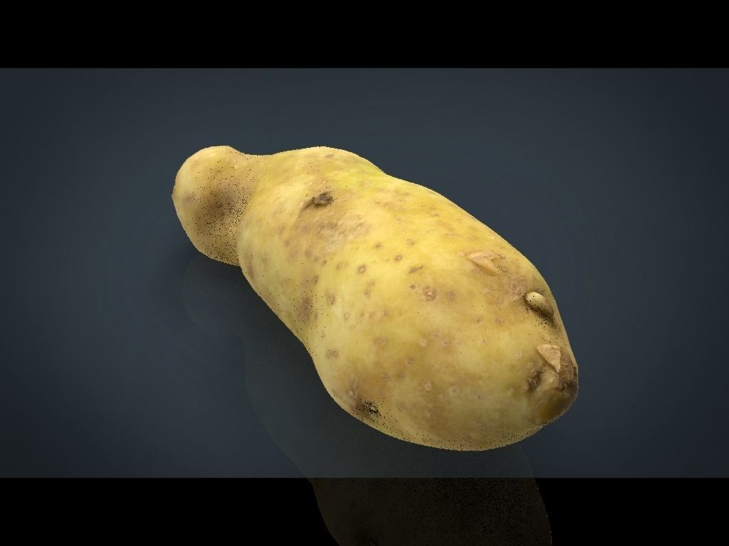 RED POTATOE Low-poly 3D model_11