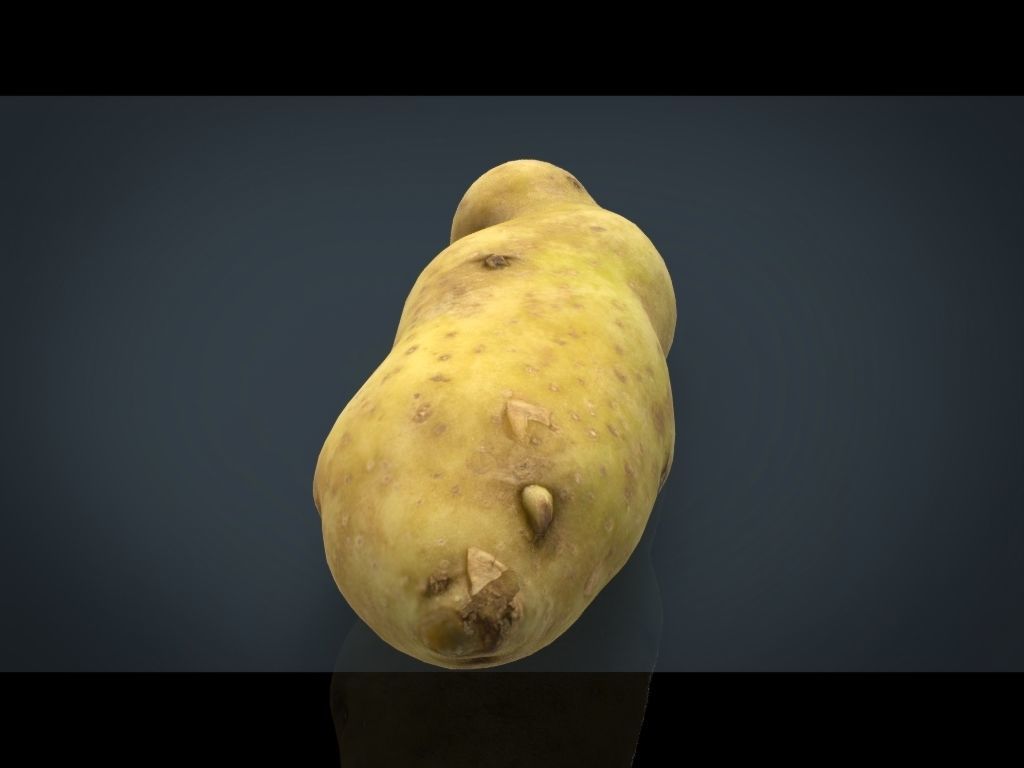 RED POTATOE Low-poly 3D model_17