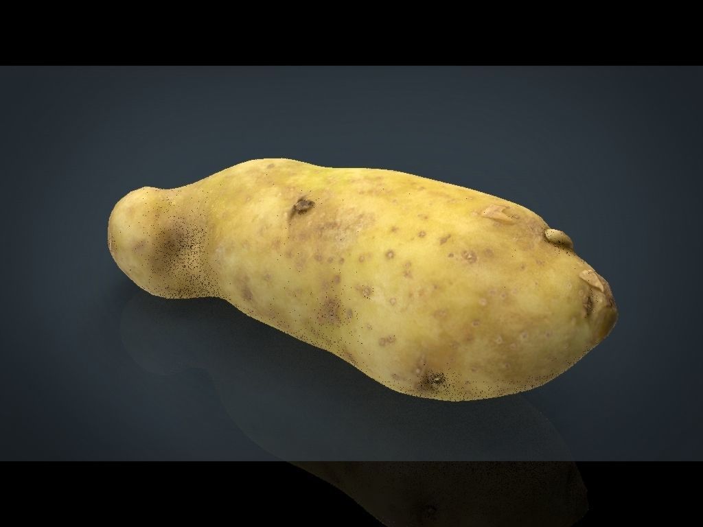 RED POTATOE Low-poly 3D model_16