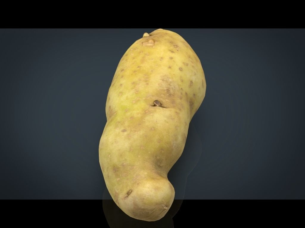 RED POTATOE Low-poly 3D model_25