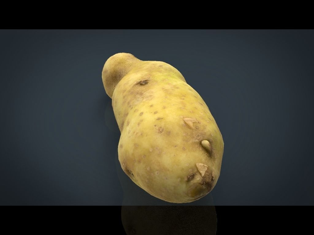 RED POTATOE Low-poly 3D model_15