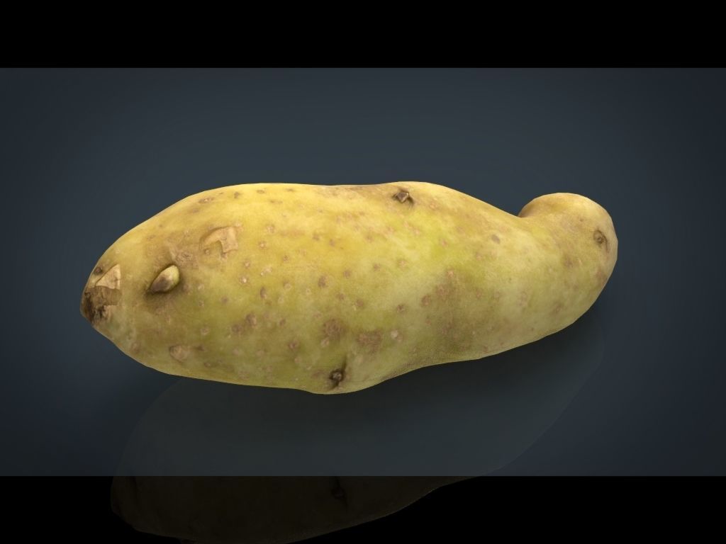 RED POTATOE Low-poly 3D model_20