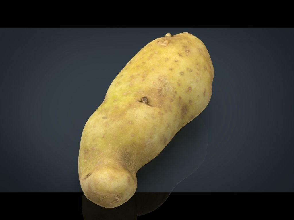 RED POTATOE Low-poly 3D model_26
