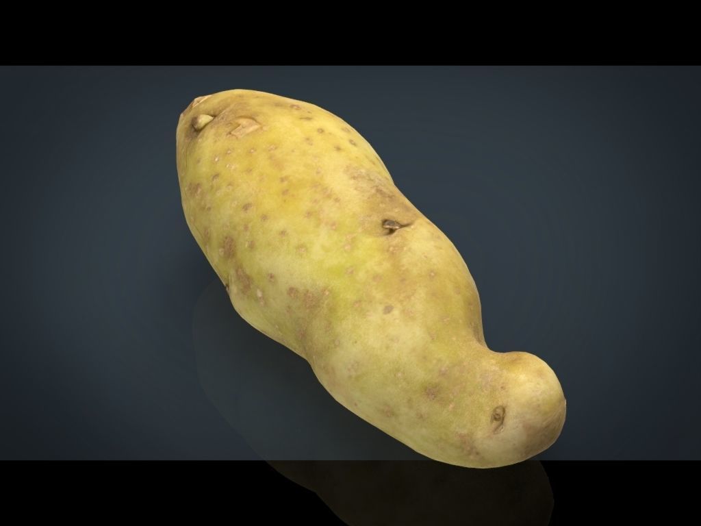 RED POTATOE Low-poly 3D model_22
