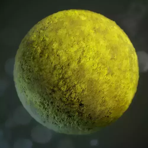 Tileable PBR Moss Texture