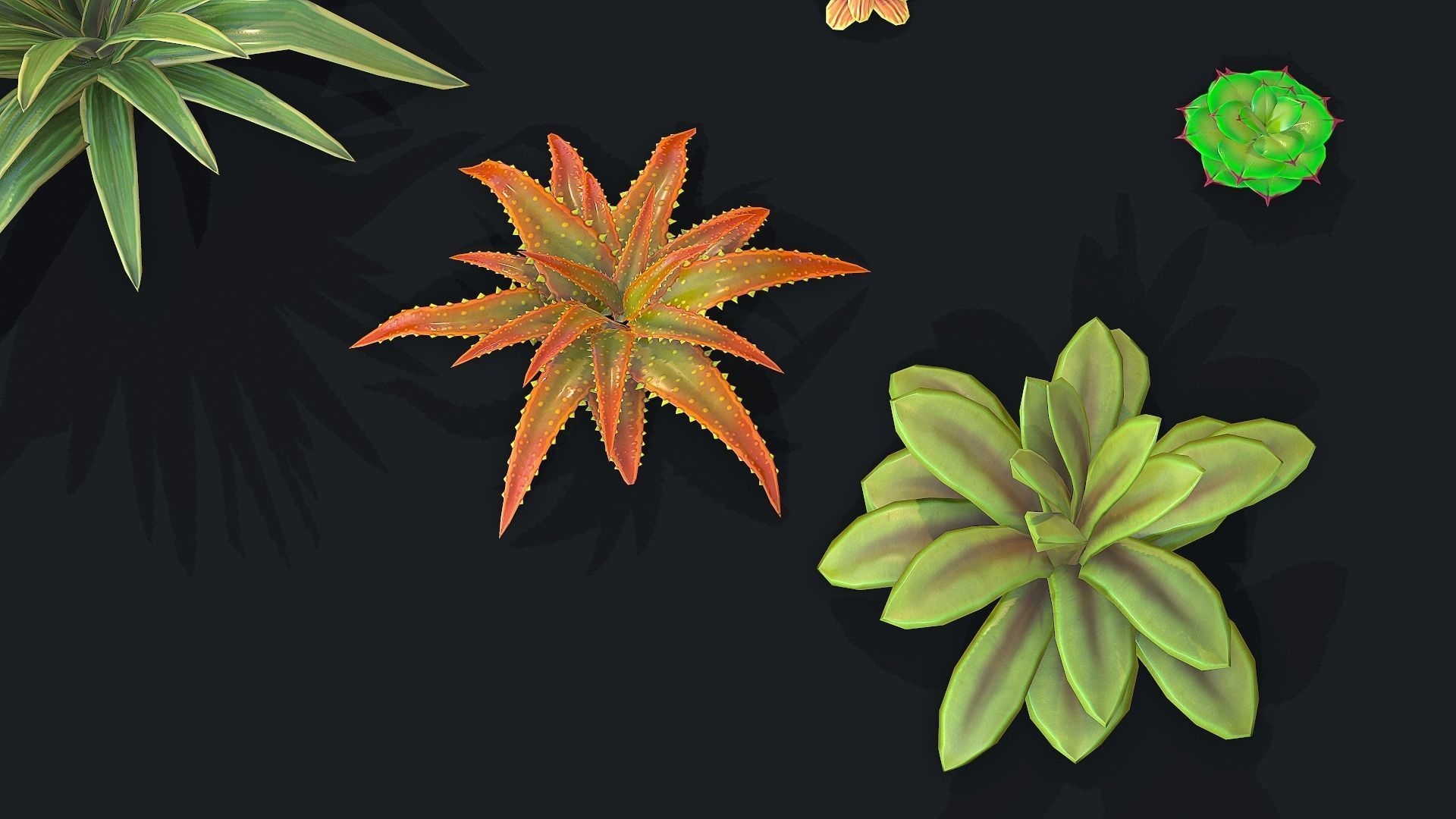 Stylized Desert Plants Low-poly 3D model_3