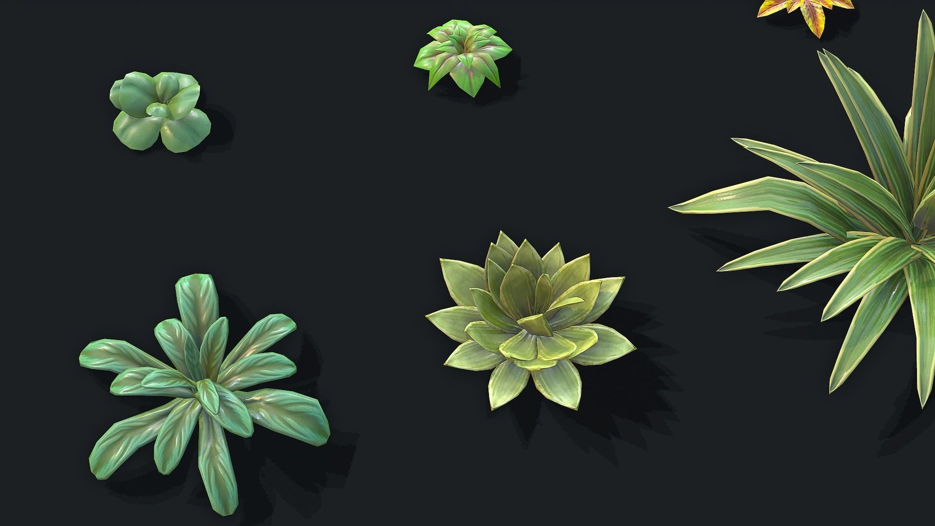 Stylized Desert Plants Low-poly 3D model_4
