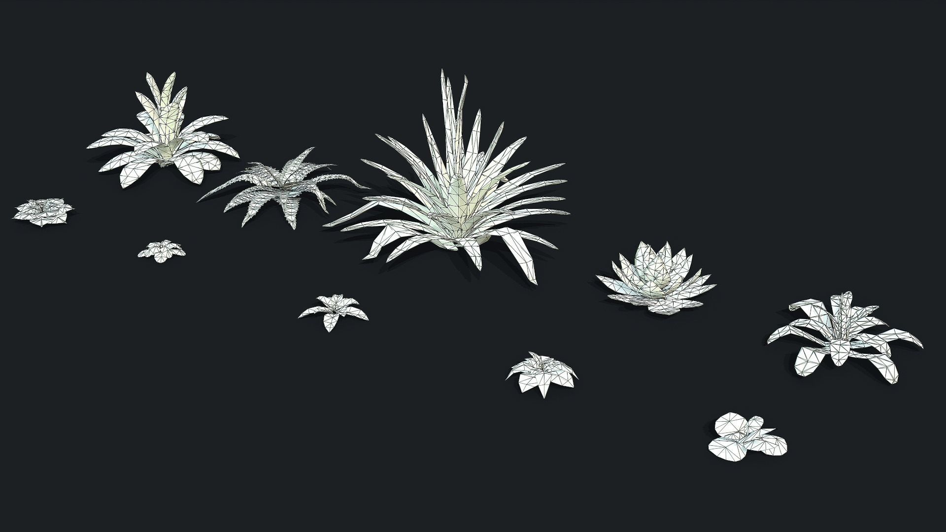 Stylized Desert Plants Low-poly 3D model_7