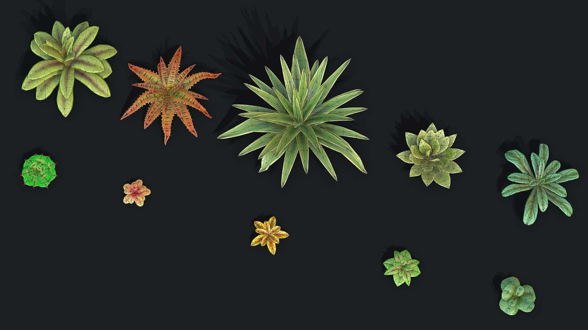 Stylized Desert Plants Low-poly 3D model_6
