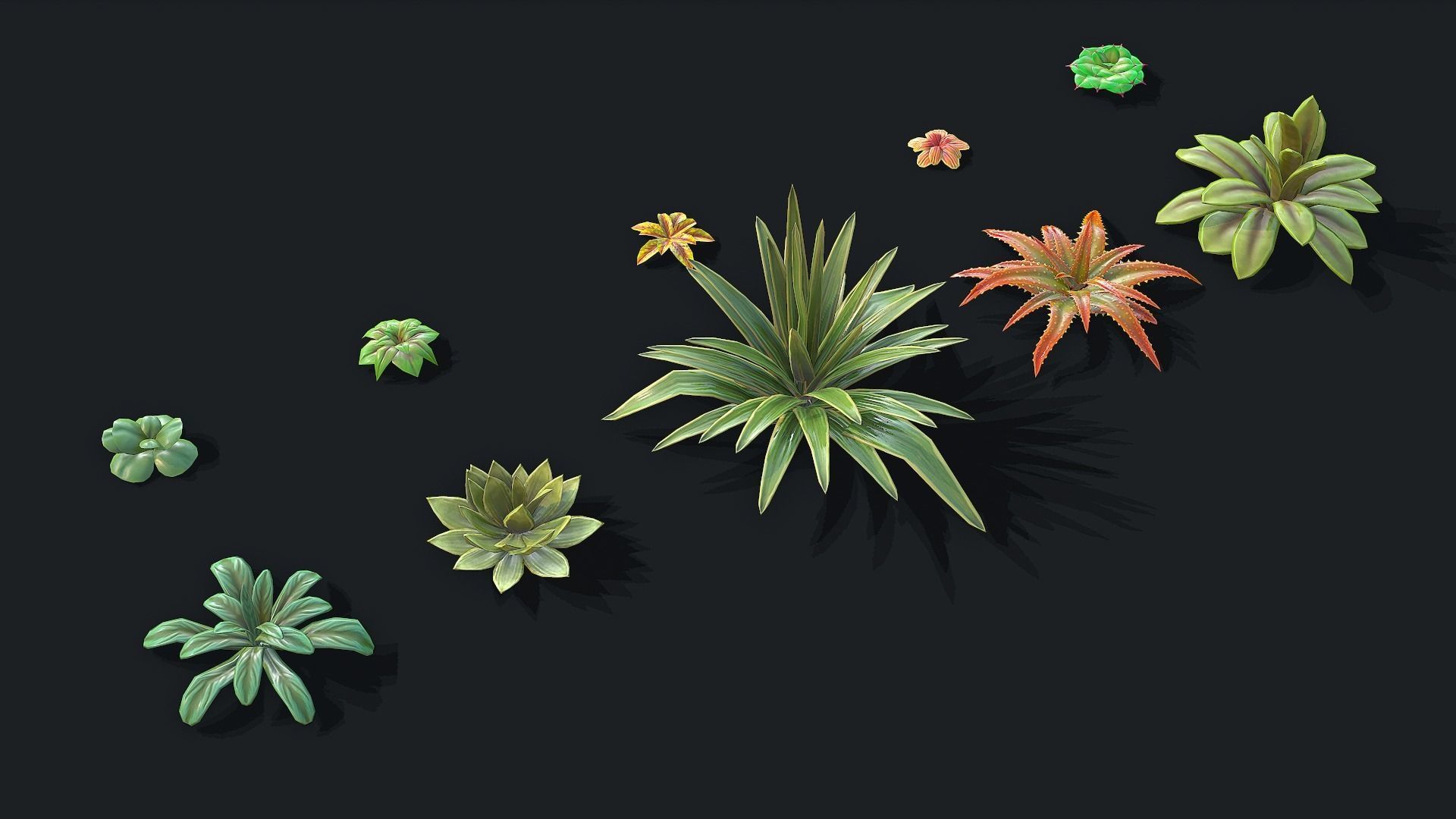 Stylized Desert Plants Low-poly 3D model_5