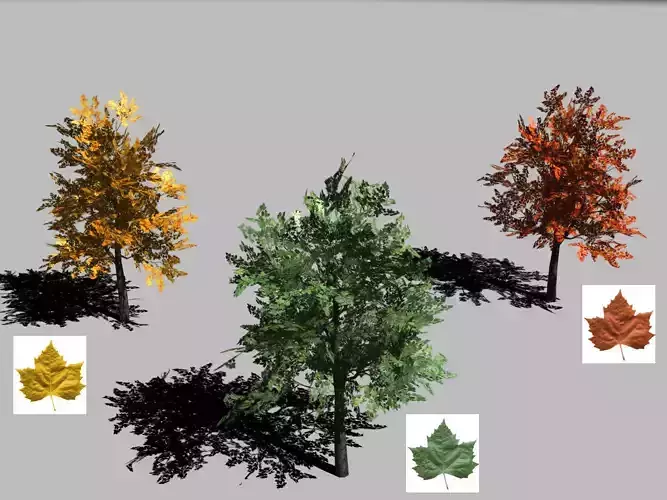 low-poly 3D model maple trees