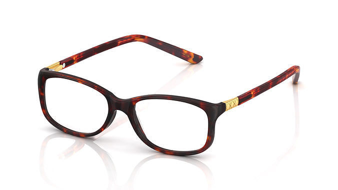 Eyeglasses for Men and Women 3D print model