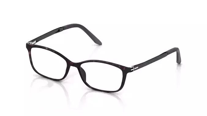 Eyeglasses for Men and Women 3D print model