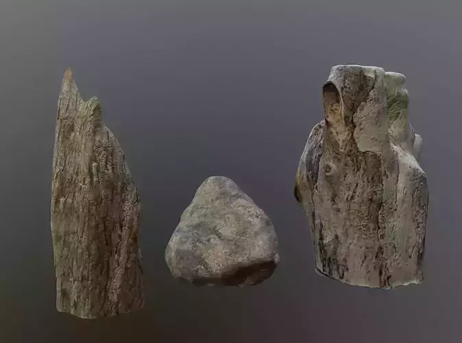 Stone and pieces of tree