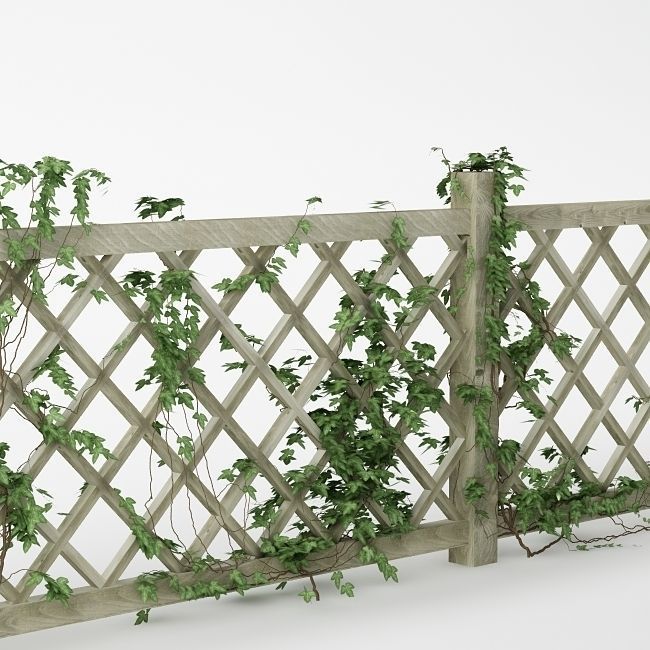 Fence 01 with ivy