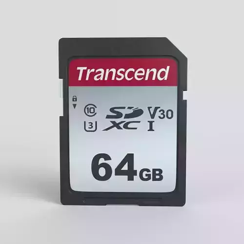 SD Memory Card 3D model