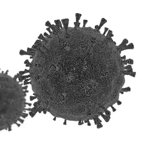The  Coronavirus  COVID-19 3ds Max 2019 