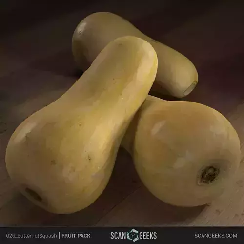 Butternut Photogrammetry Asset 3D PhotoScan