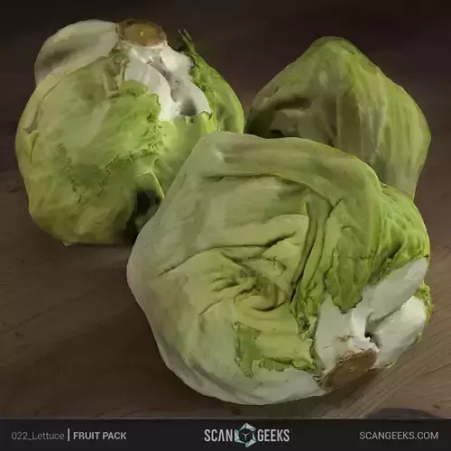 Lettuce Photogrammetry Asset 3D PhotoScan