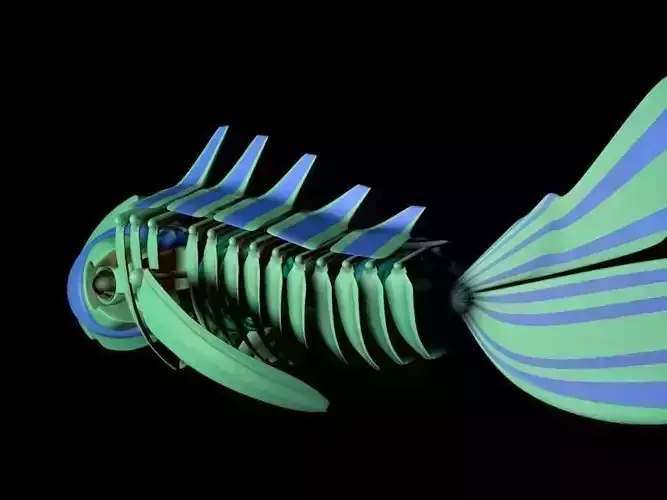 RoboFish fish skeleton 3D model