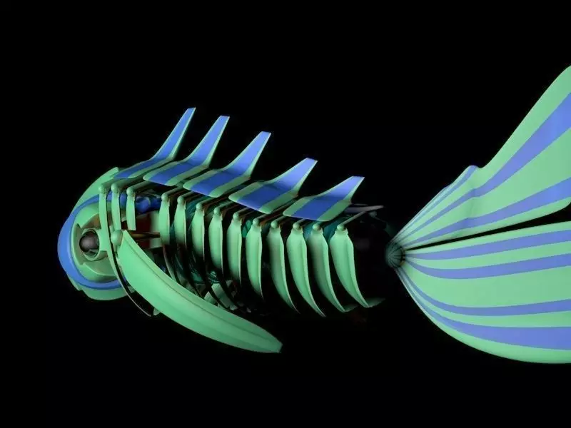 RoboFish fish skeleton 3D model_0