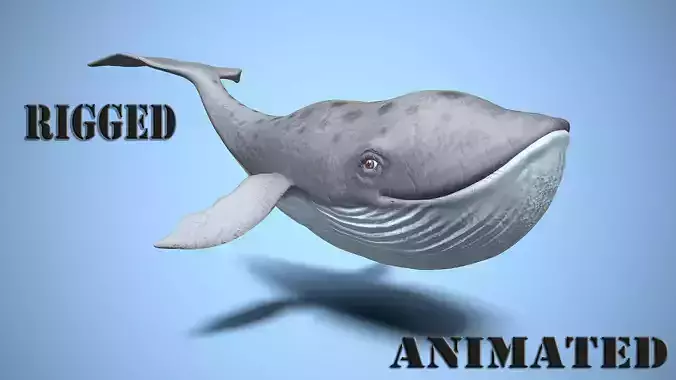 cartoon whale
