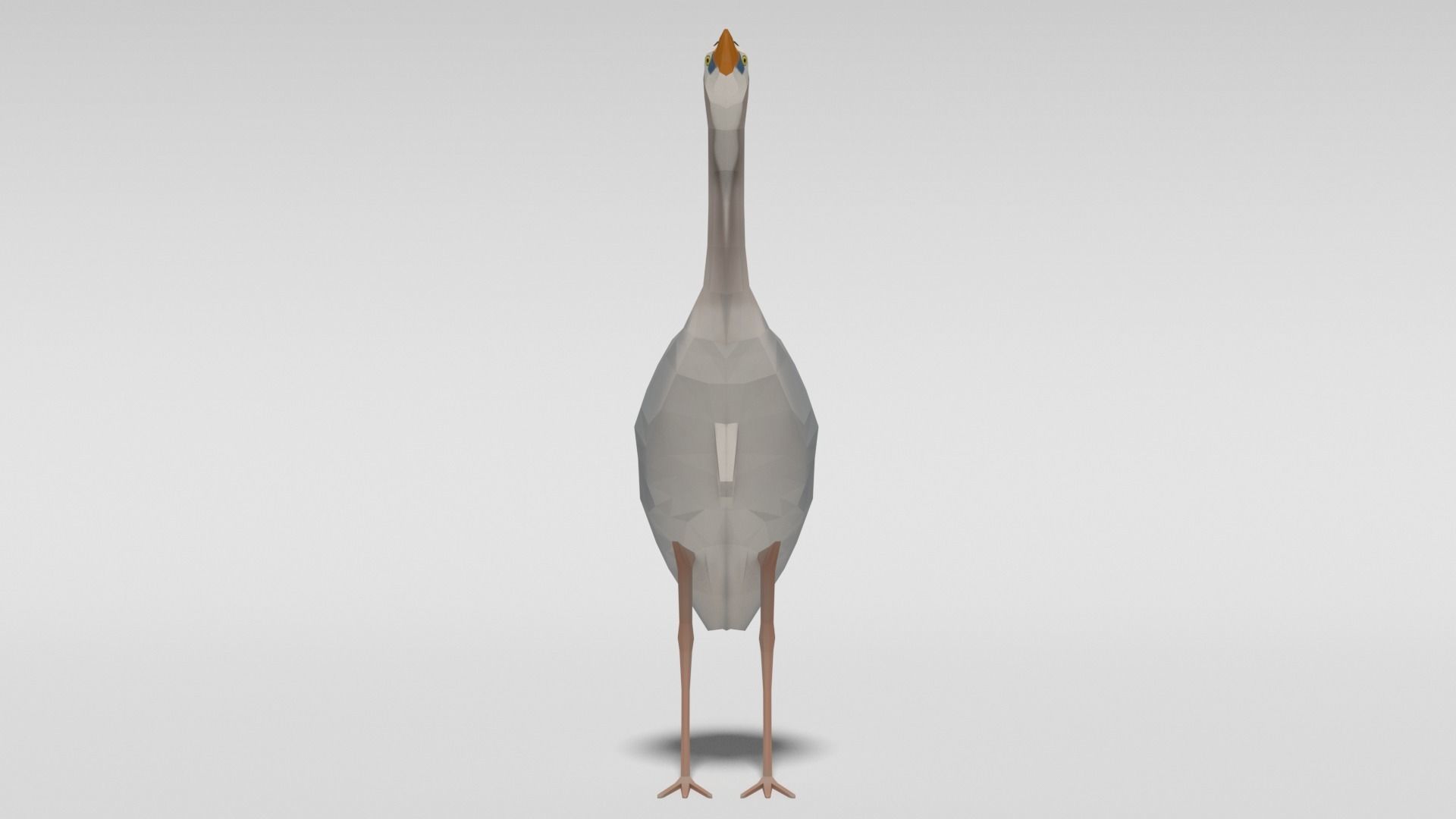Low Poly Cartoon Exotic Birds Pack 3D Model Collection_13