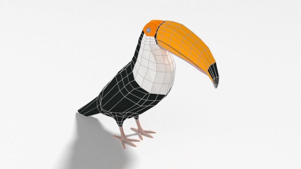 Low Poly Cartoon Exotic Birds Pack 3D Model Collection_21