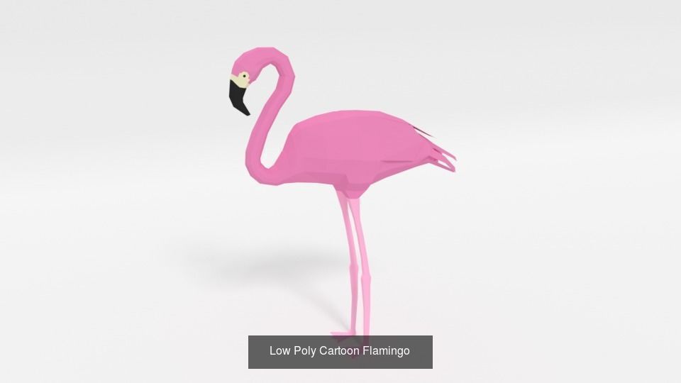 Low Poly Cartoon Exotic Birds Pack 3D Model Collection_2