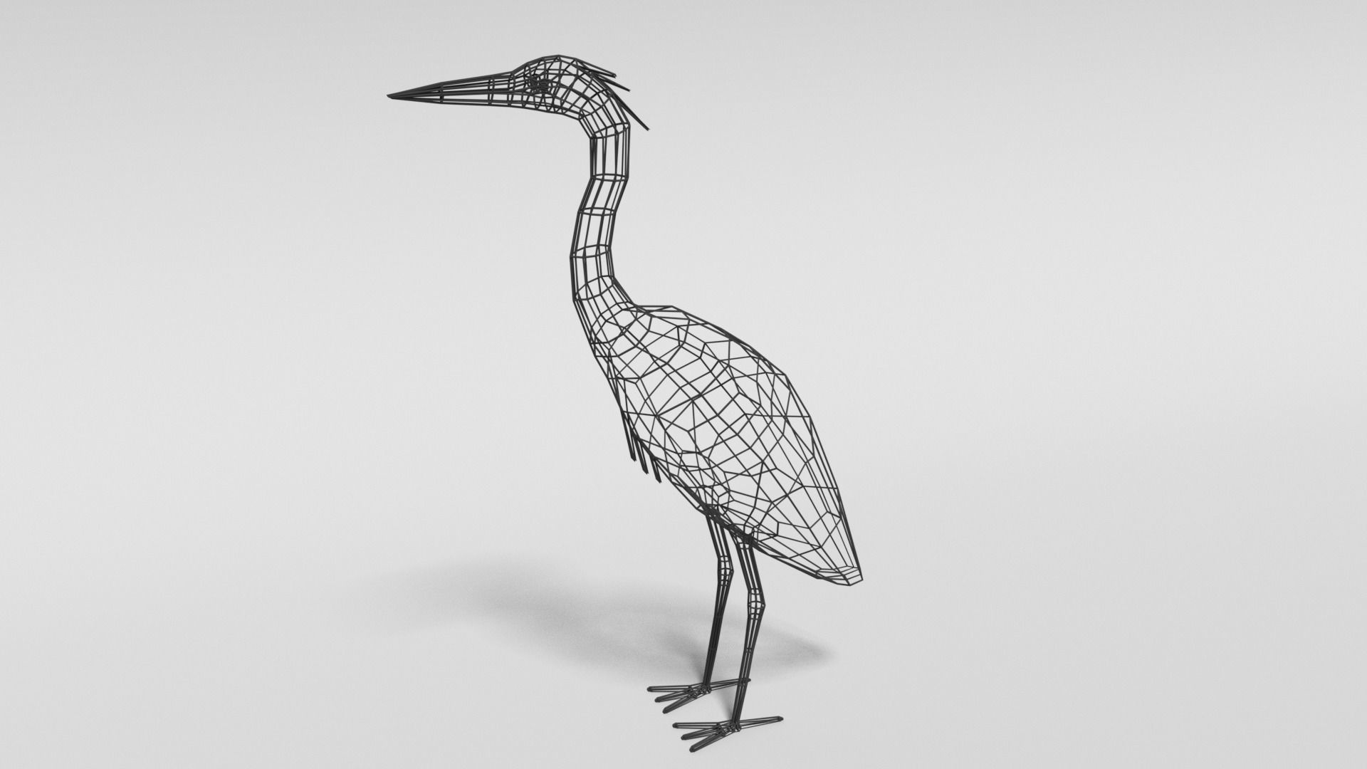 Low Poly Cartoon Exotic Birds Pack 3D Model Collection_14