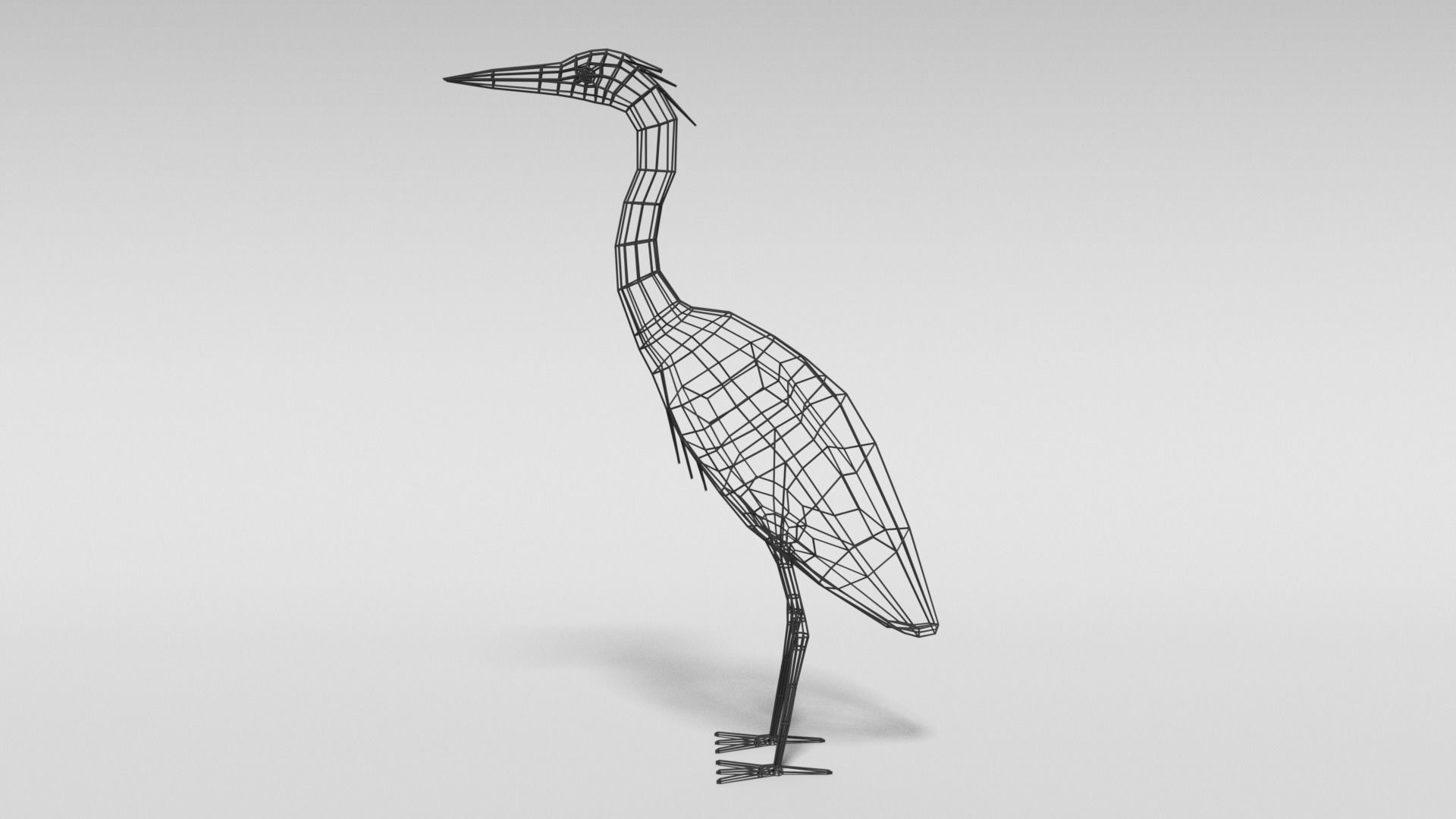 Low Poly Cartoon Exotic Birds Pack 3D Model Collection_15