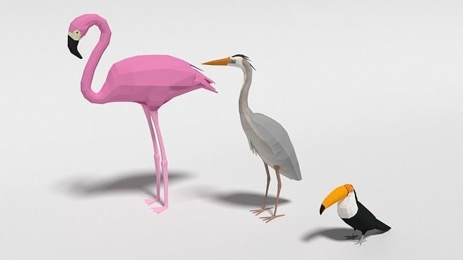 Low Poly Cartoon Exotic Birds Pack 3D Model Collection