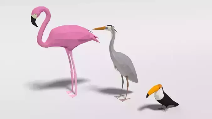 Low Poly Cartoon Exotic Birds Pack 3D Model Collection