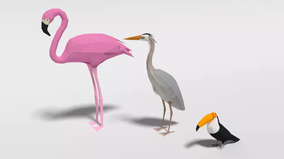Low Poly Cartoon Exotic Birds Pack 3D Model Collection_0