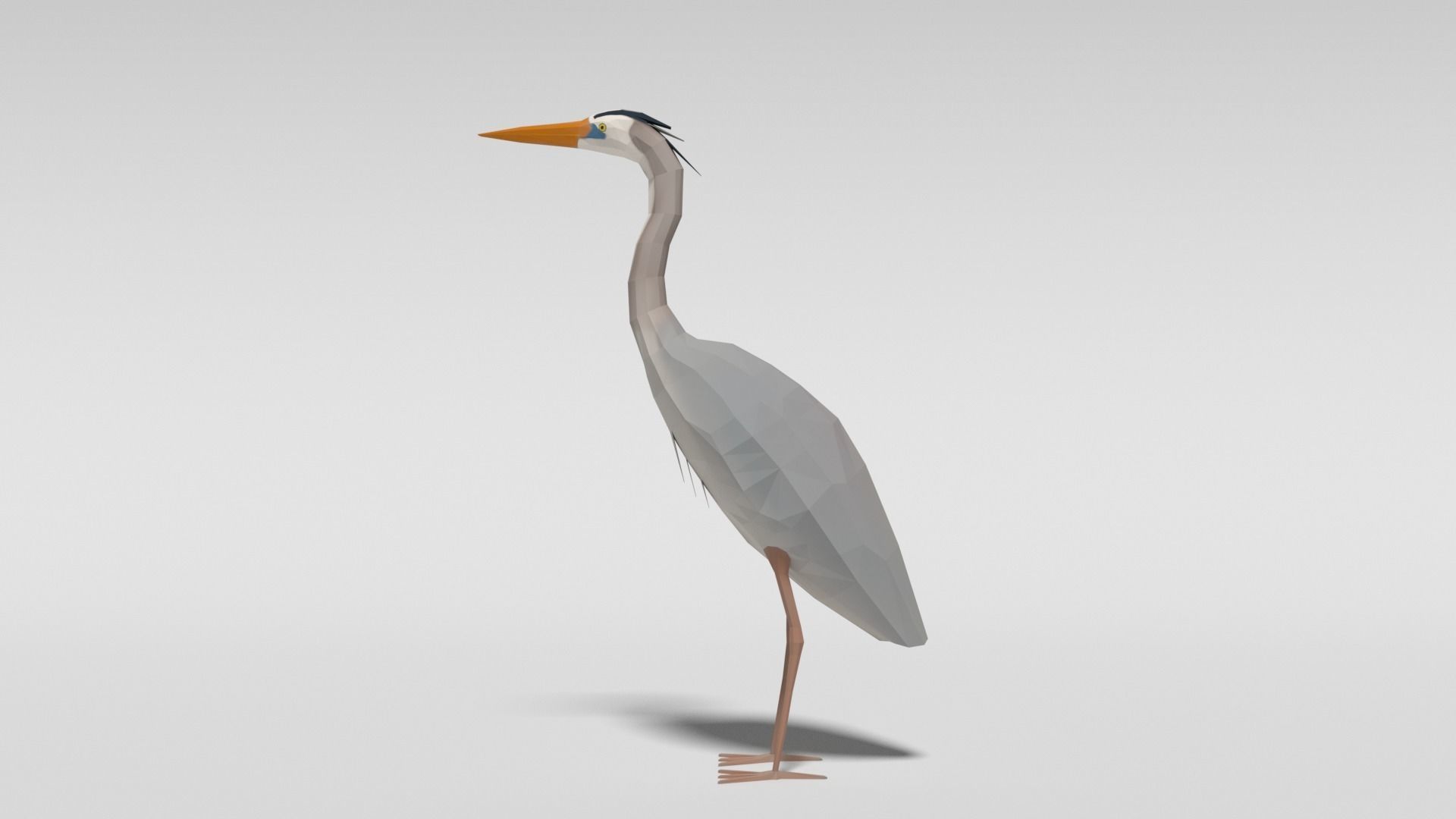 Low Poly Cartoon Exotic Birds Pack 3D Model Collection_11
