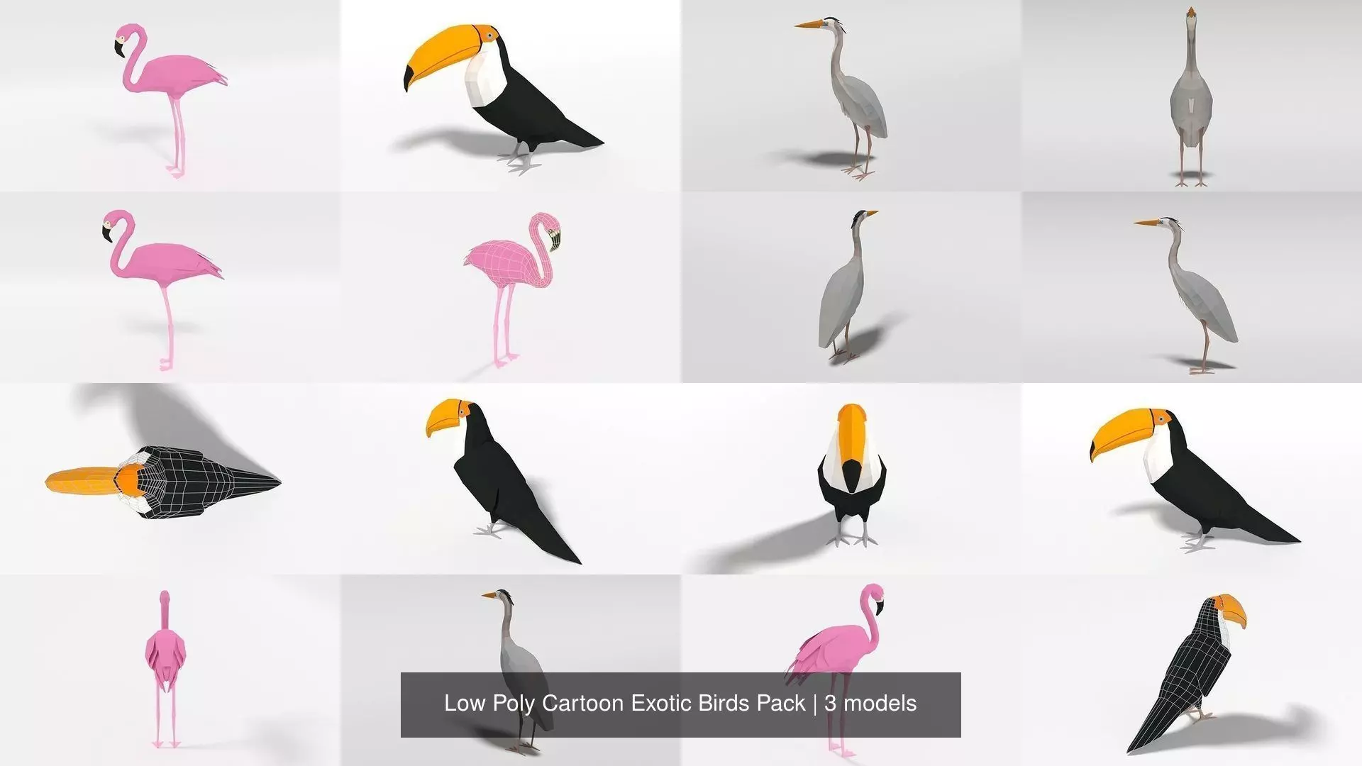 Low Poly Cartoon Exotic Birds Pack 3D Model Collection_1