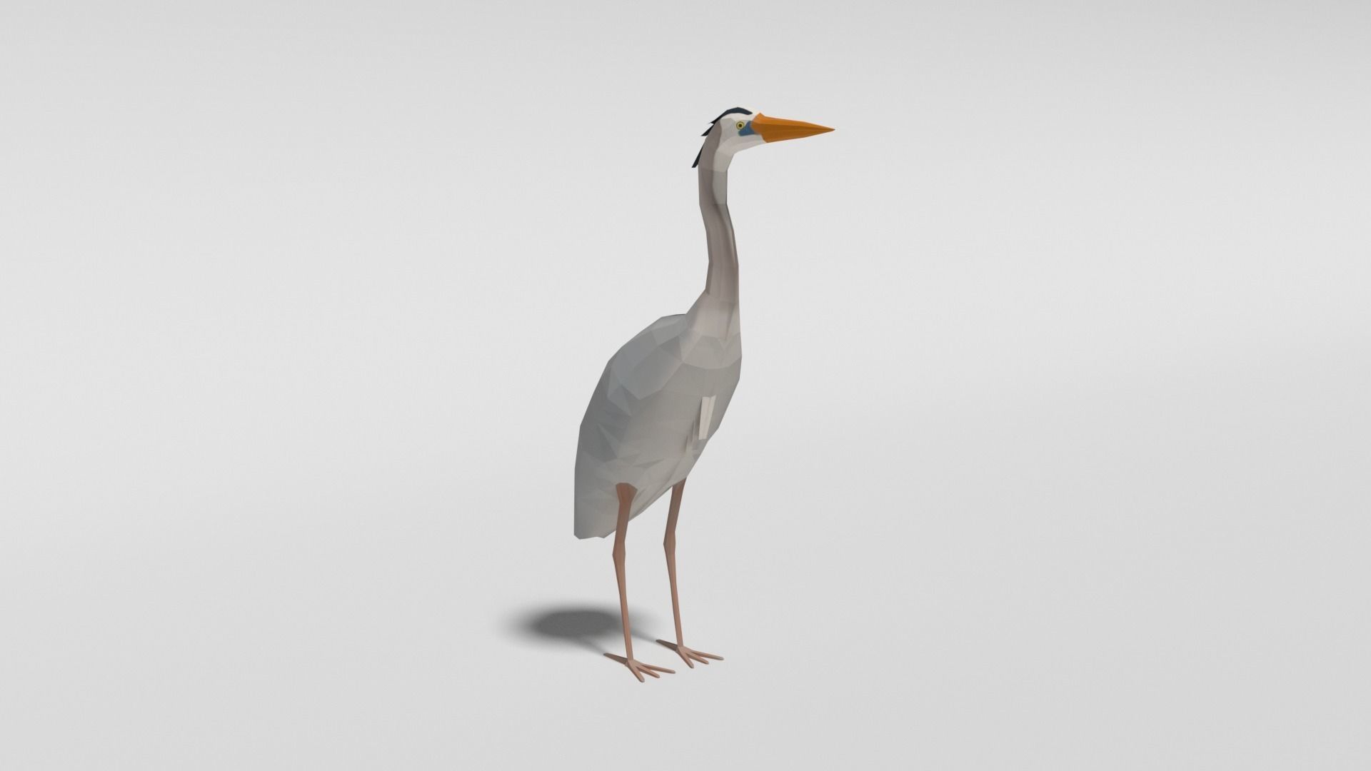 Low Poly Cartoon Exotic Birds Pack 3D Model Collection_12