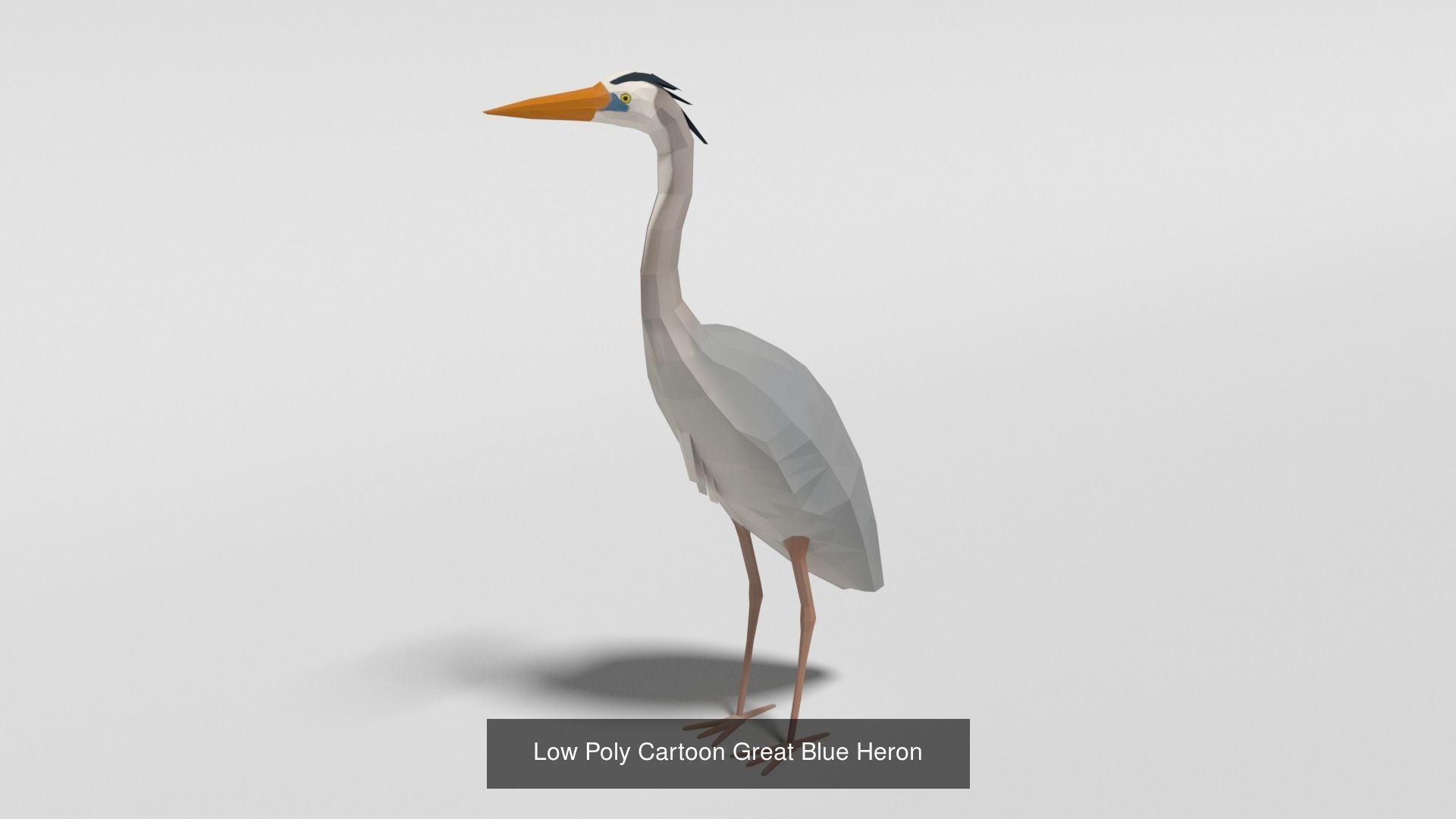 Low Poly Cartoon Exotic Birds Pack 3D Model Collection_3