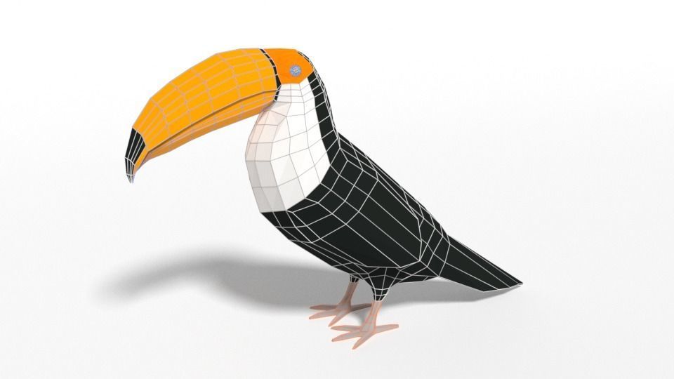 Low Poly Cartoon Exotic Birds Pack 3D Model Collection_20