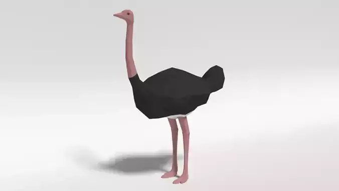 Low Poly Cartoon Ostrich