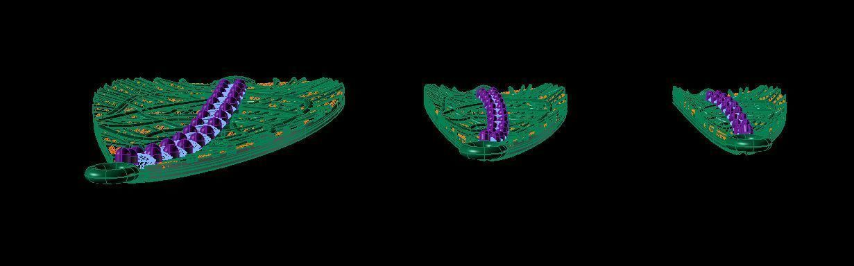 Leaf Pendant 3D print model_2